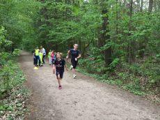 2019_citylauf30.jpg
