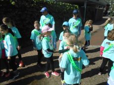 2019_citylauf48.jpg