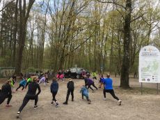 2019_citylauf24.jpg
