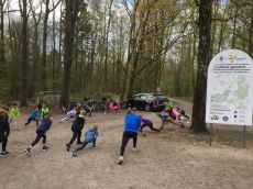 2019_citylauf23.jpg